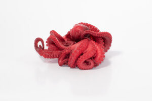 Pulpo de 500gr.