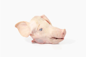 Cabeza de puerco 1kg